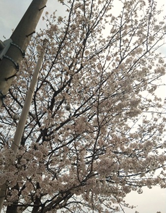 �C�x���g�e�r��